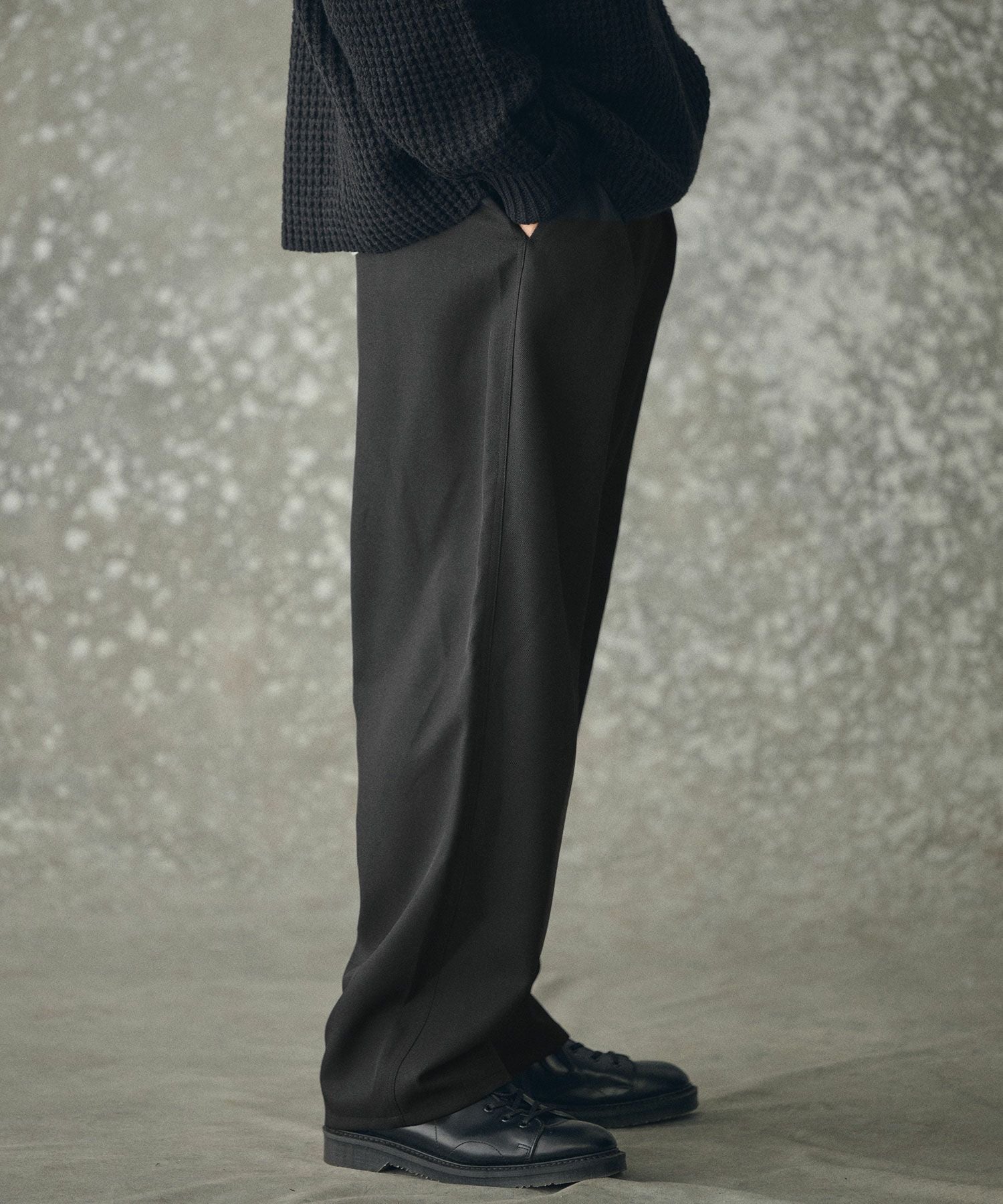 THEOREM(セオレム)】Wool-like Sharky Worker Pants ワークパンツ(TRM