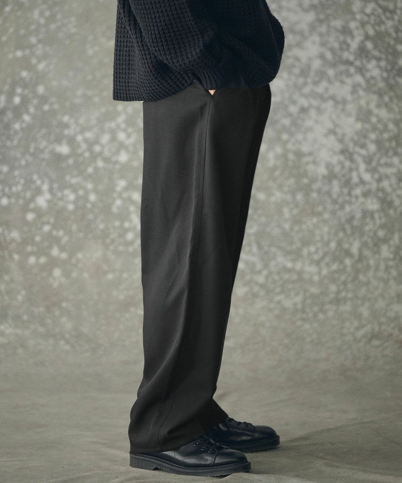 THEOREM(セオレム)】Wool-like Sharky Worker Pants ワークパンツ(TRM 