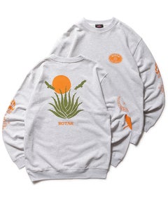 3．ASH GREY