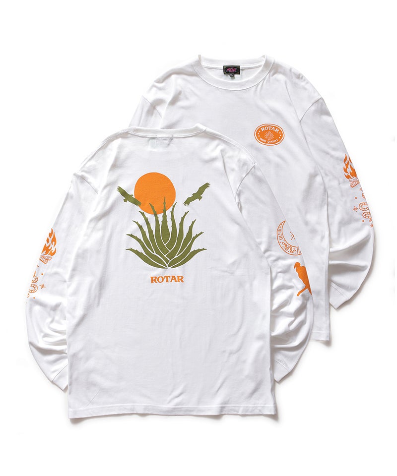 1．WHITE