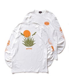 1．WHITE